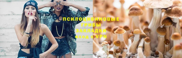 Альфа ПВП Новочеркасск
