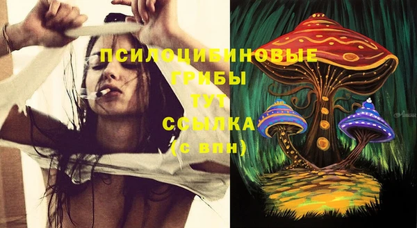 стафф Магадан