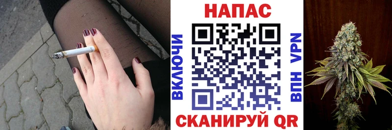 Каннабис Amnesia  ссылка на мегу маркетплейс  Шарья  сколько стоит 